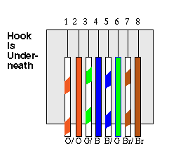 RJ45 Male Connector with Color Codes